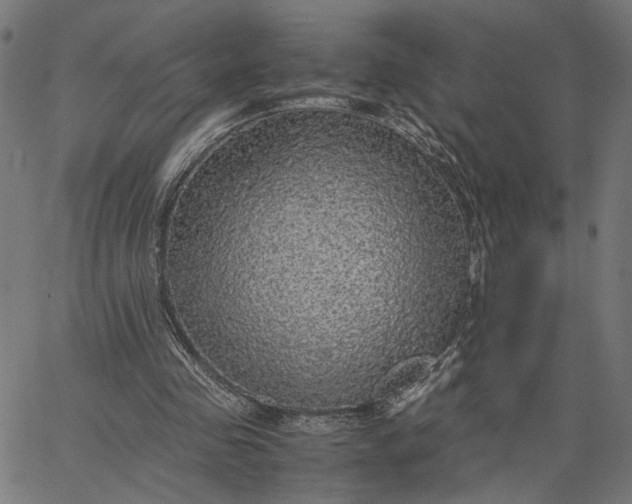 X0000065240341200603031744