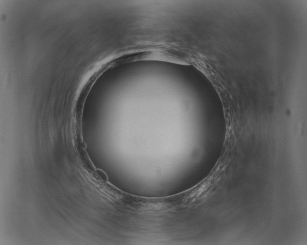 X0000065240342200603031744