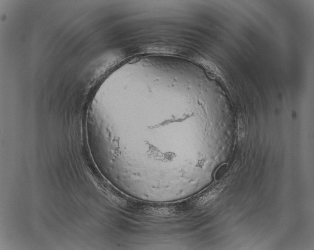 X0000065240349200603031744