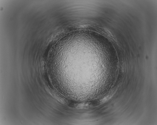 X0000065240366200603031744