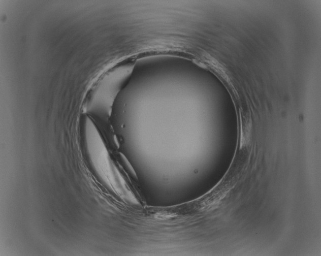 X0000065240387200603031744