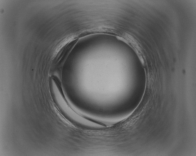X0000065240389200603031744