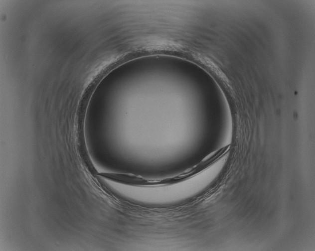 X0000065240391200603031744