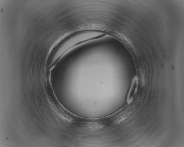X0000065240392200603031744