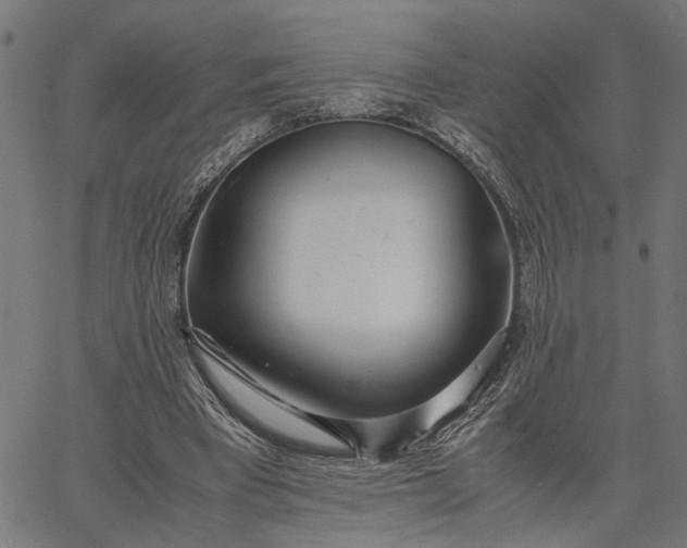 X0000065240393200603031744