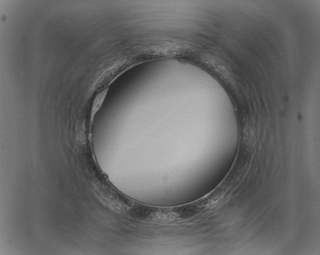 X0000065240403200603031743