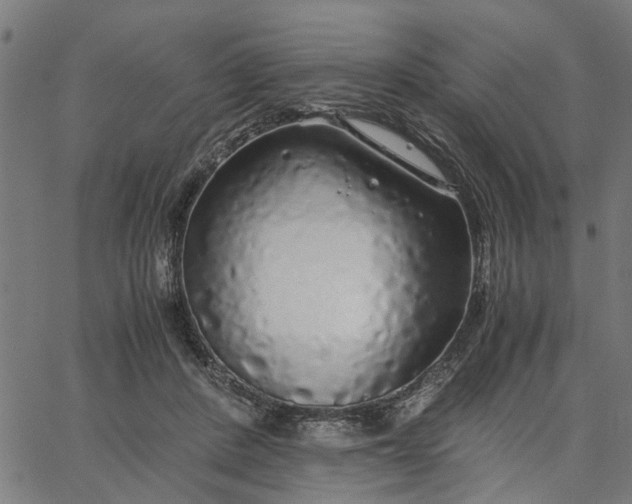 X0000065240408200603031743