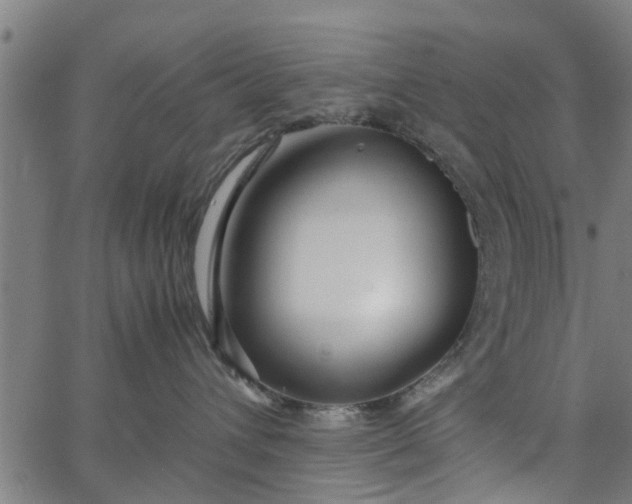X0000065240432200603031743