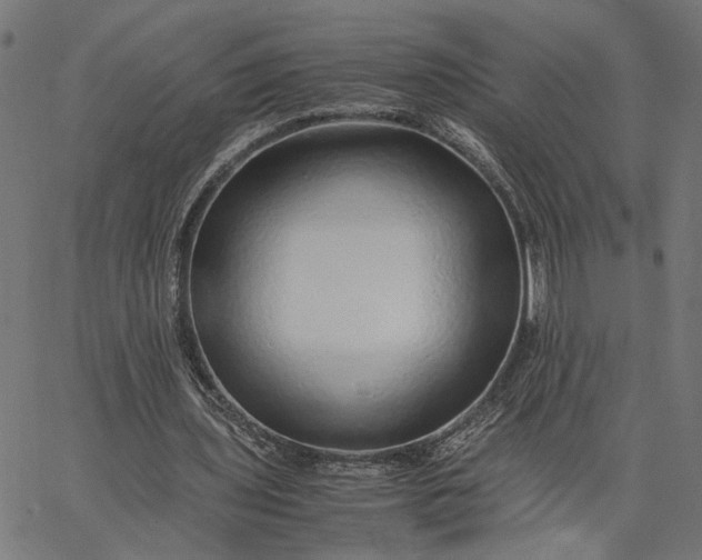 X0000065240435200603031742