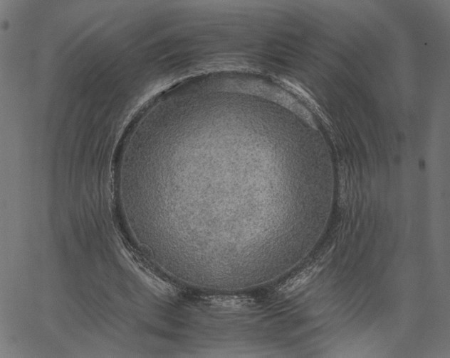 X0000065240439200603031742