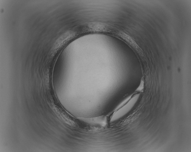X0000065240442200603031742