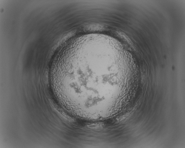 X0000065240447200603031742