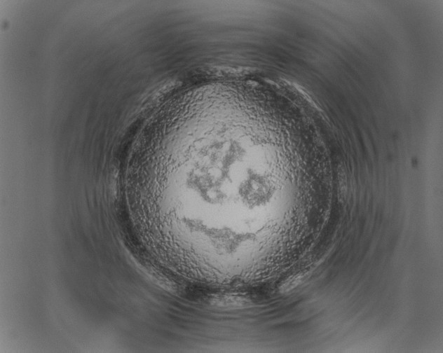 X0000065240451200603031742
