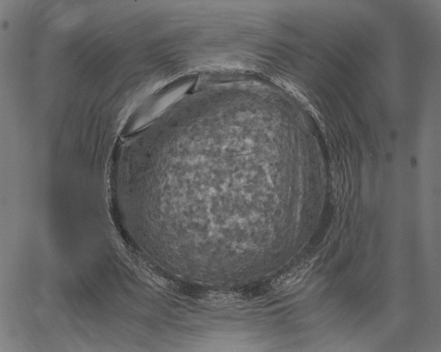 X0000065240487200603031742