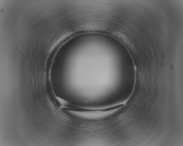 X0000065240488200603031742