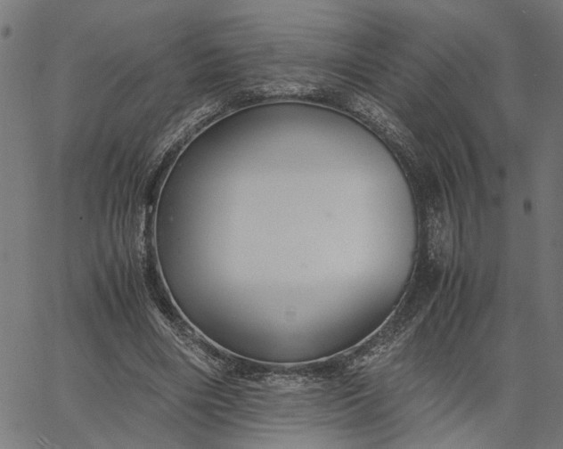 X0000065240490200603031742