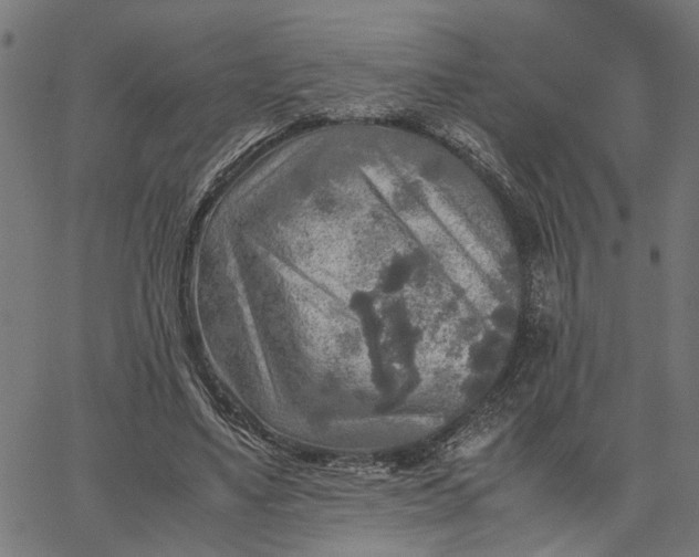 X0000065240491200603031742