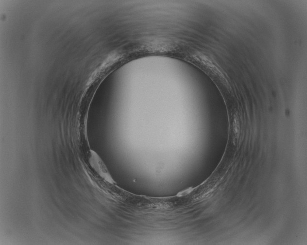 X0000065240492200603031742