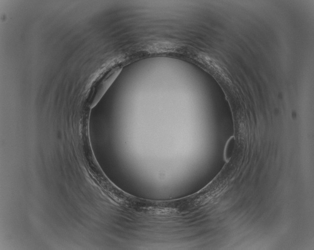 X0000065240539200603031741