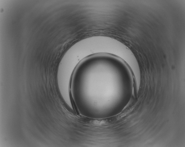 X0000065240570200603031741