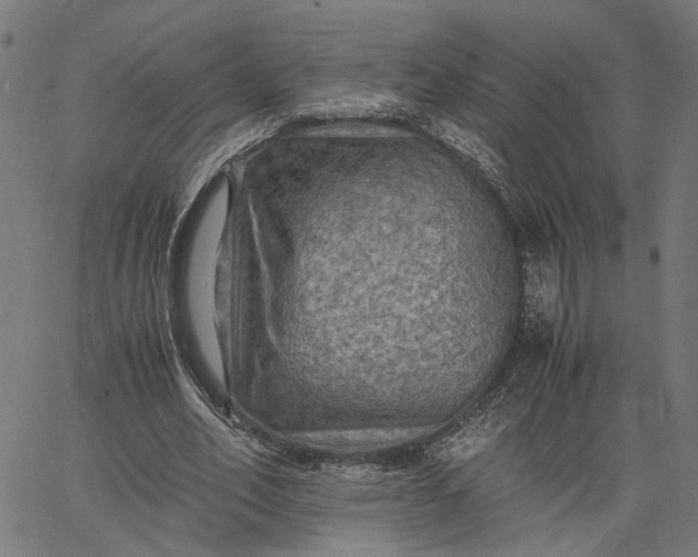 X0000065240582200603031740