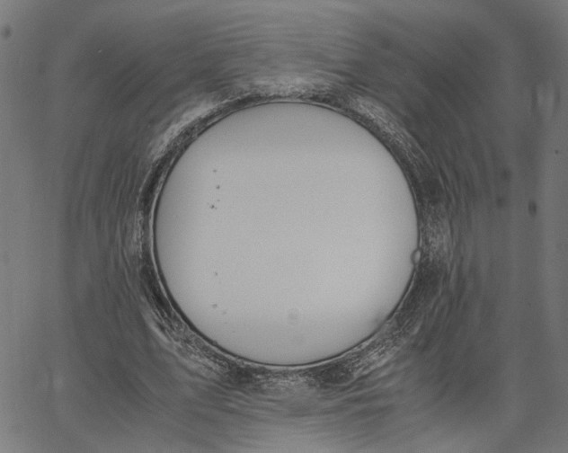 X0000065240583200603031740