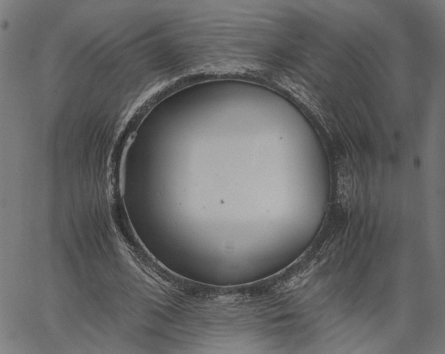 X0000065240584200603031740