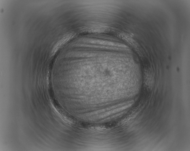 X0000065240586200603031740