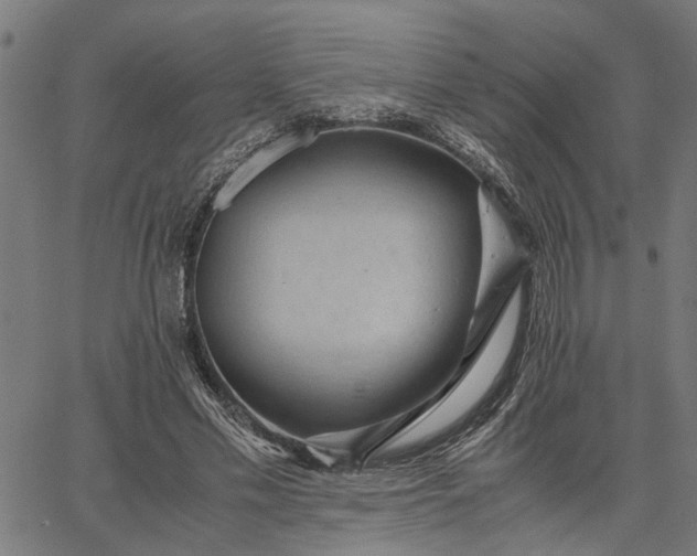 X0000065240589200603031740