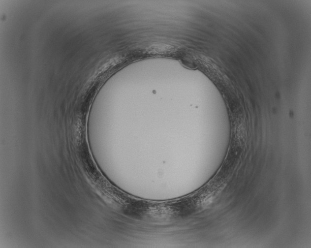 X0000065240591200603031740