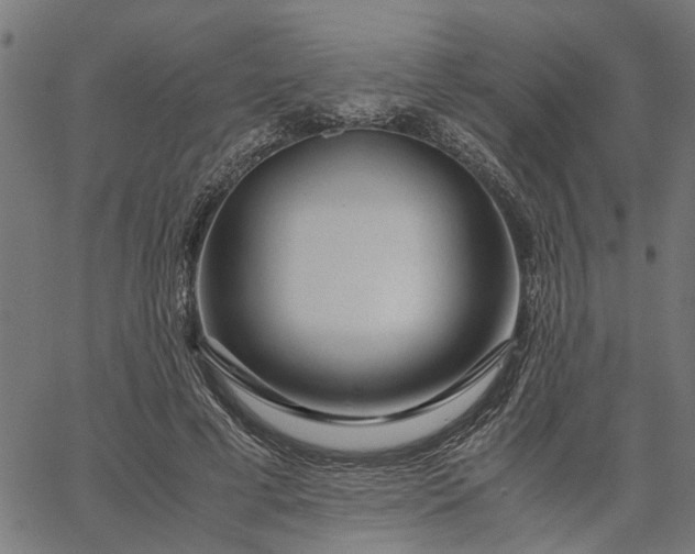 X0000065240593200603031740