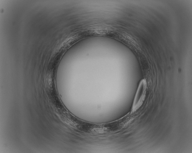 X0000065240595200603031740