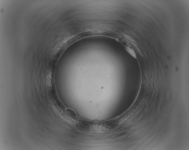 X0000065240596200603031740