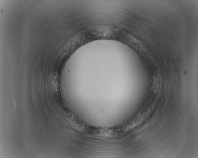 X0000065240612200603031740