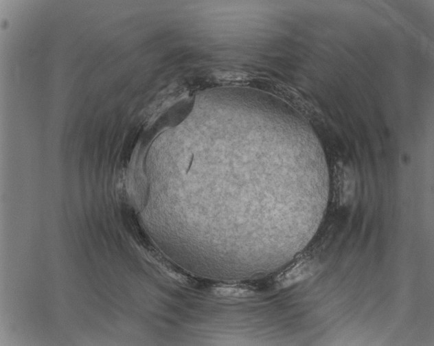 X0000065240614200603031740