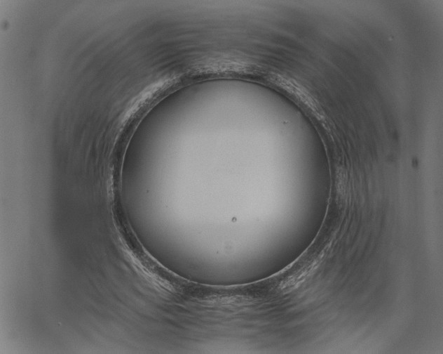 X0000065240629200603031739