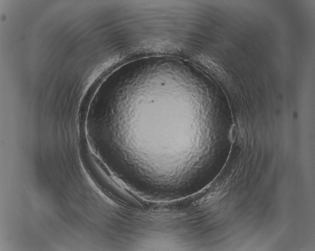 X0000065240630200603031739