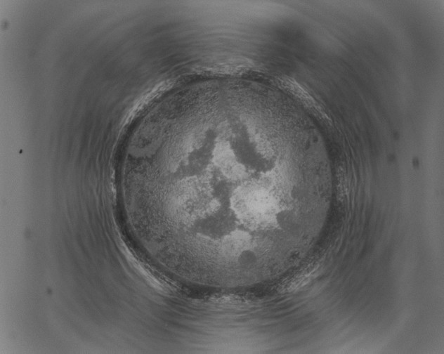 X0000065240634200603031739