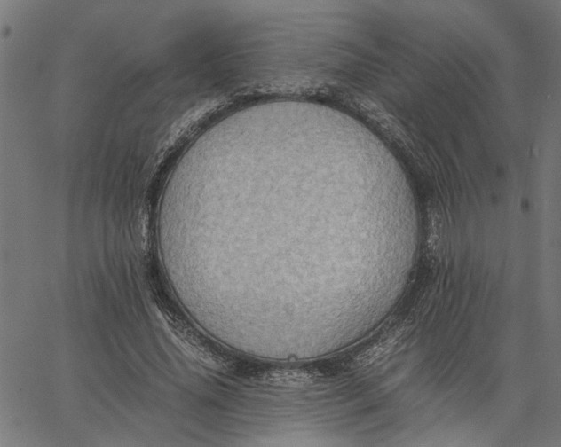 X0000065240636200603031739