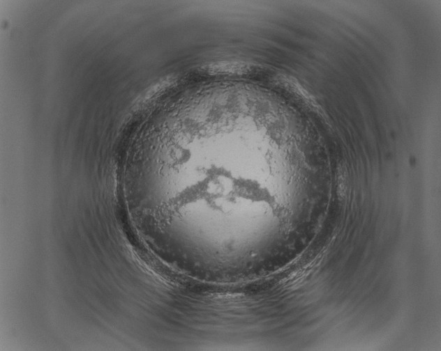 X0000065240637200603031739