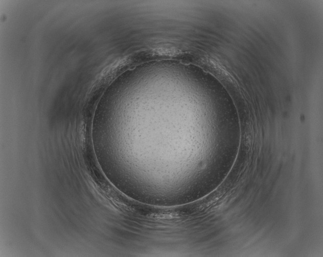 X0000065240639200603031739