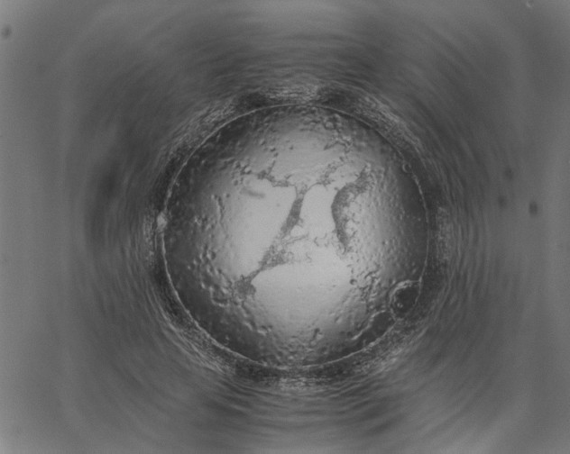 X0000065240641200603031739