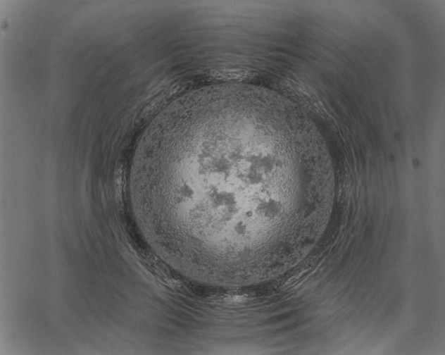 X0000065240647200603031739