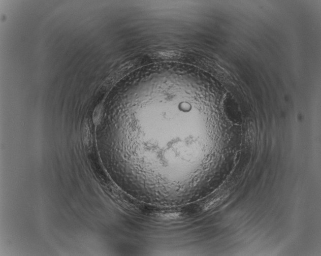 X0000065240651200603031739