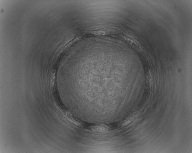 X0000065240652200603031739