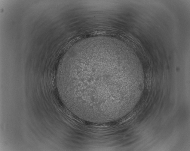 X0000065240653200603031739