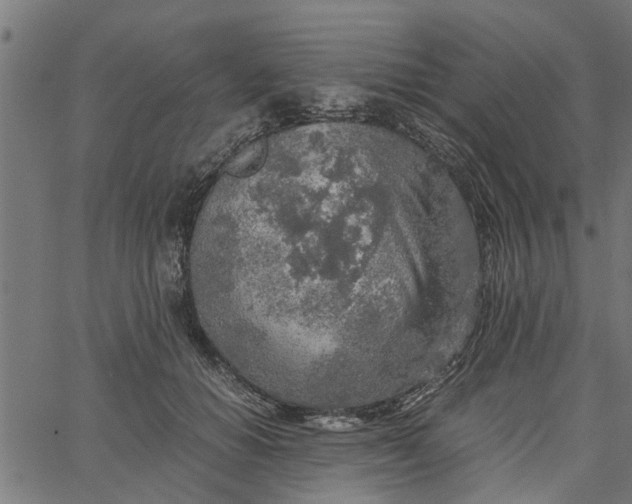 X0000065240654200603031739