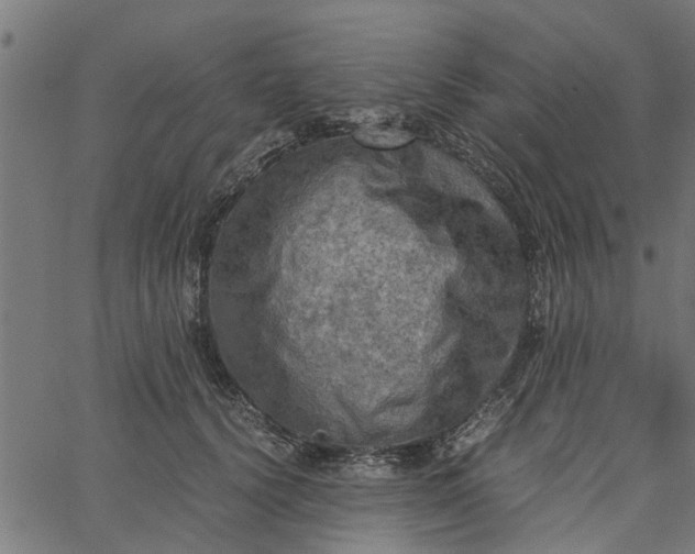 X0000065240656200603031739