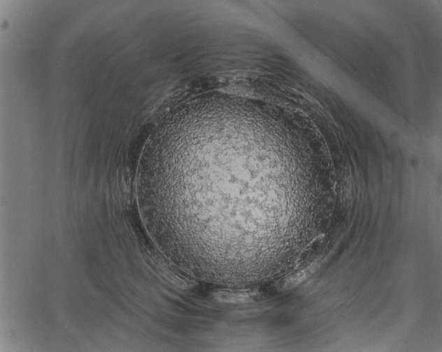 X0000065240661200603031740