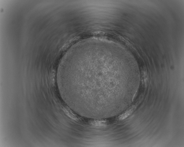 X0000065240664200603031740